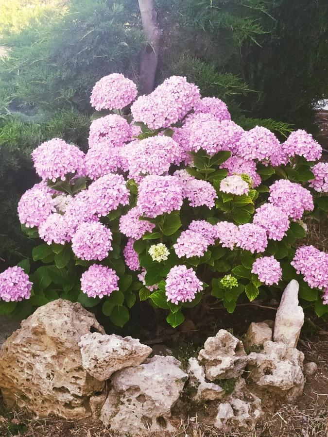 فندق Panorama Palaiοpolis Palaiopoli  المظهر الخارجي الصورة
