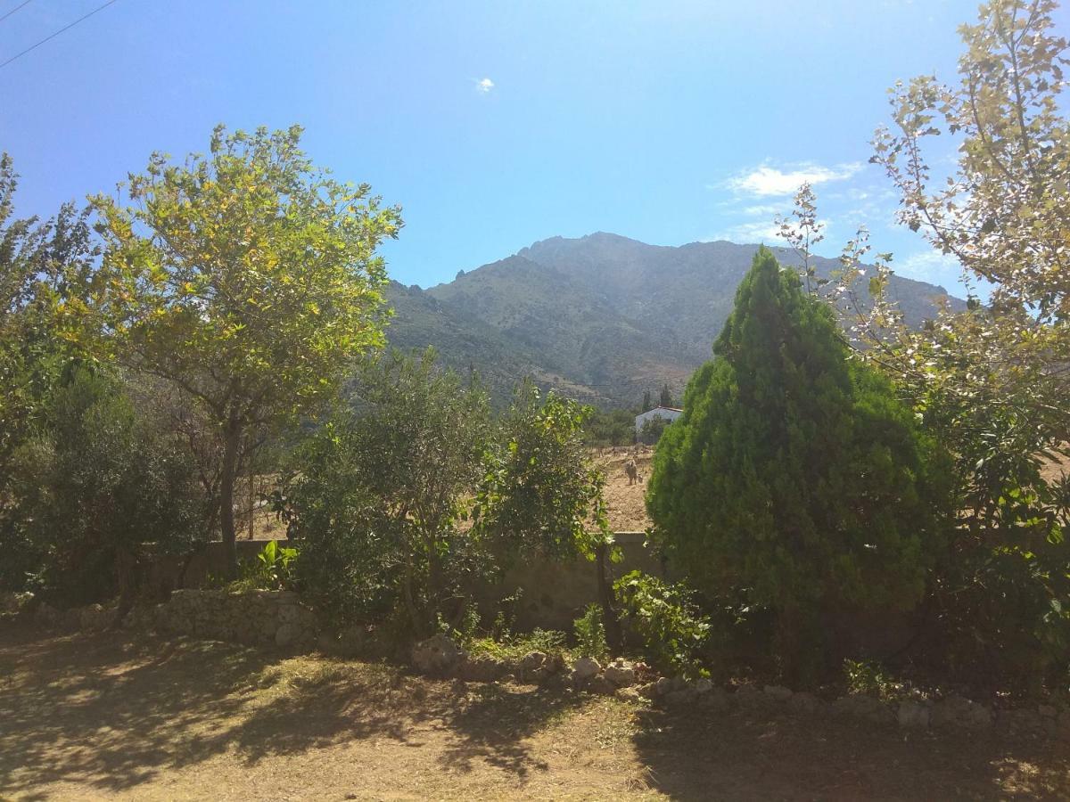 فندق Panorama Palaiοpolis Palaiopoli  المظهر الخارجي الصورة